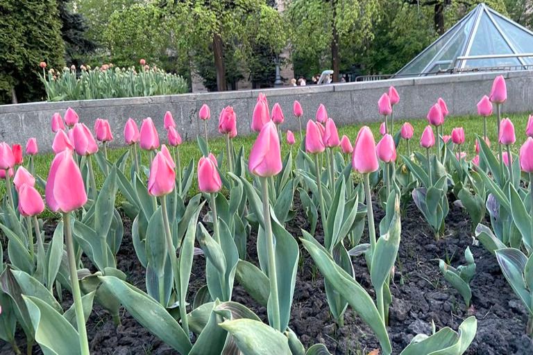 SPRING IN KYIV